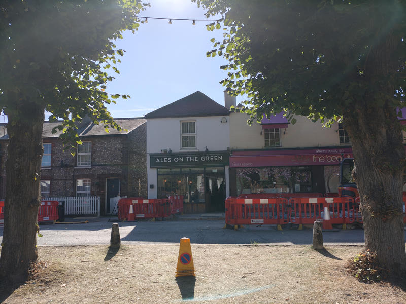 Header image for Ales on the Green - Warlingham