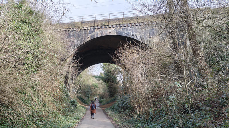 TBW walking under a bridge