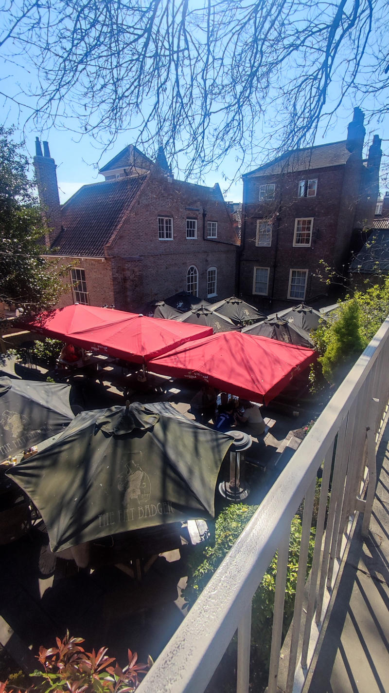 Header image for The Fat Badger - York